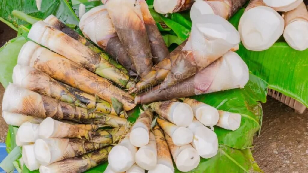 Bamboo Sprouts: The Green Gold for Your Health and Wellness Bamboo Sprouts